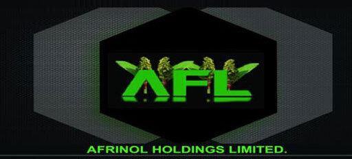 Afrinol Holdings